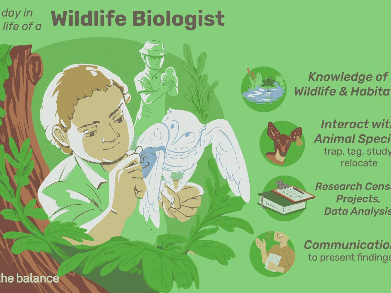 biologist-job-responsibilities