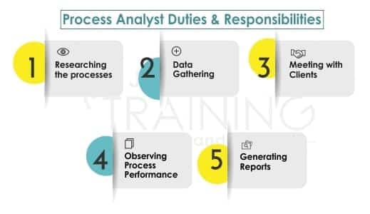 business-process-analyst-job-responsibilities