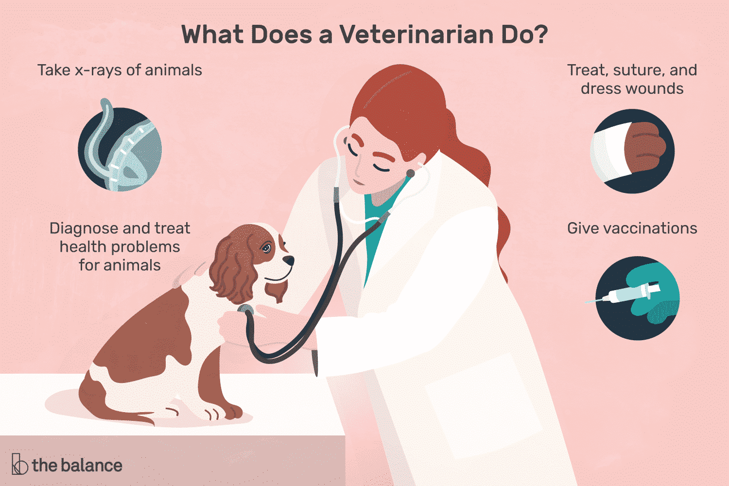 veterinarian-job-responsibilities-2