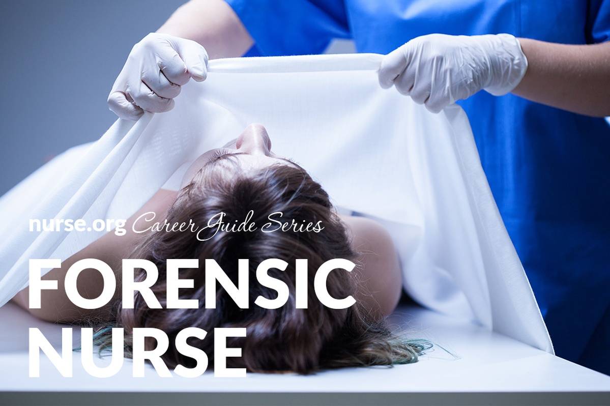 forensic-nursing-job-responsibilities