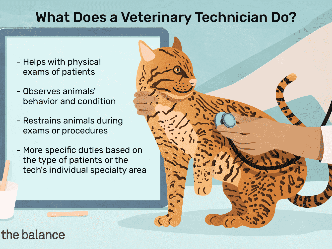 veterinary-technician-job-responsibilities